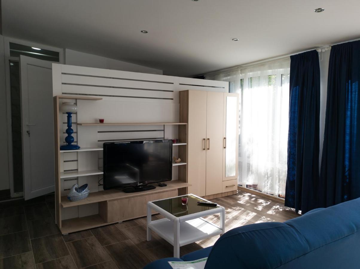 גולובאץ Apartman Dvoristance מראה חיצוני תמונה